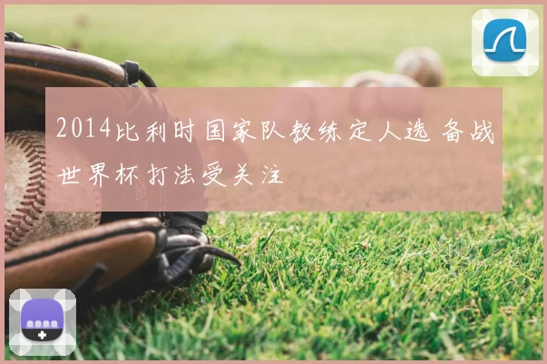 2014比利时国家队教练定人选 备战世界杯打法受关注