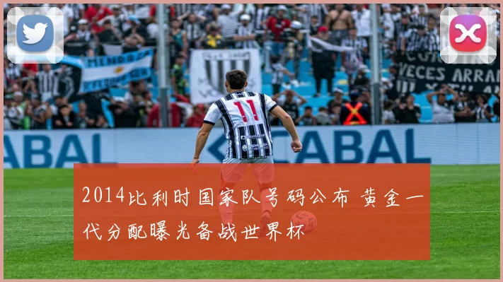 2014比利时国家队号码公布 黄金一代分配曝光备战世界杯