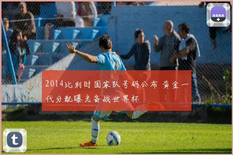 2014比利时国家队号码公布 黄金一代分配曝光备战世界杯